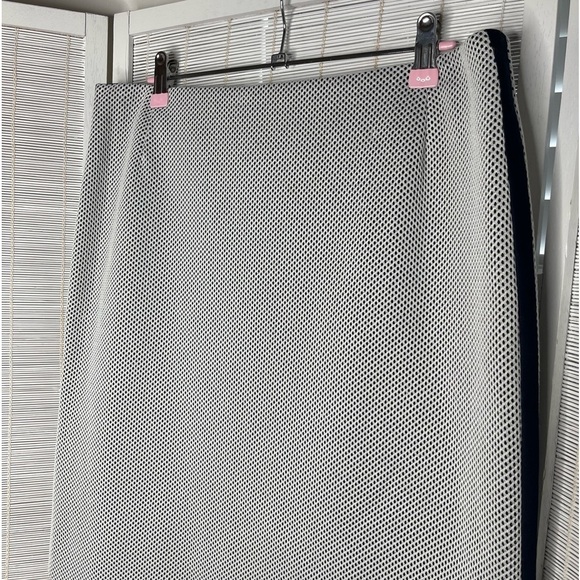 Akris Punto White and Navy Mesh Skirt Size 10 Side Stripes New with Tags - Picture 2 of 7